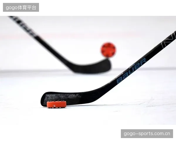 高密度冰球练习板助力全球冰球爱好者训练提升，冰球训练教程